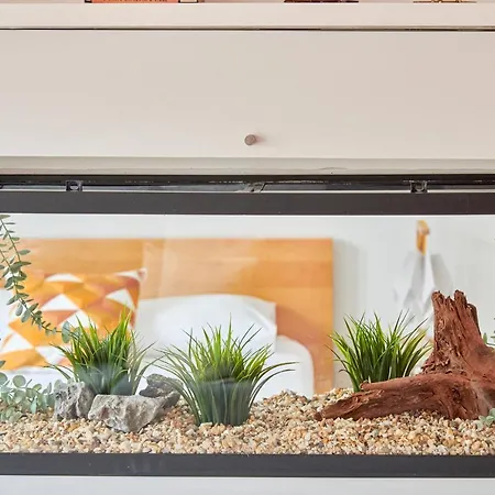 Sunny Renovated With Ac, By Timecooler *